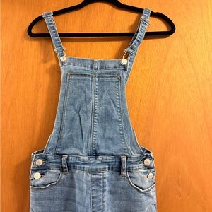 Pacsun Denim Overalls with Adjustable Straps
